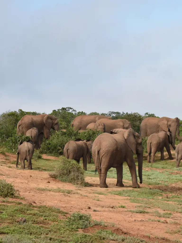 Südafrika – mit dem Camper entlang wunderschöner Küsten und durch tierreiche Nationalparks